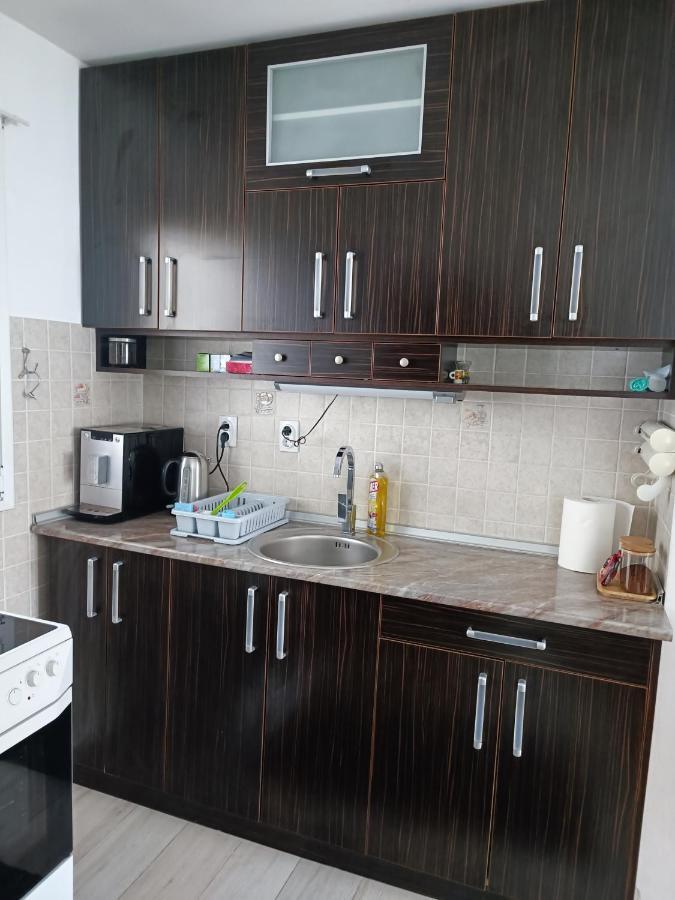 Serbian Home With Garden Krnjaca エクステリア 写真