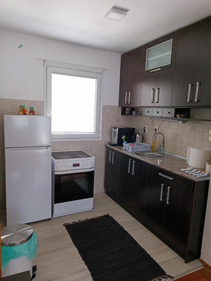 Serbian Home With Garden Krnjaca エクステリア 写真